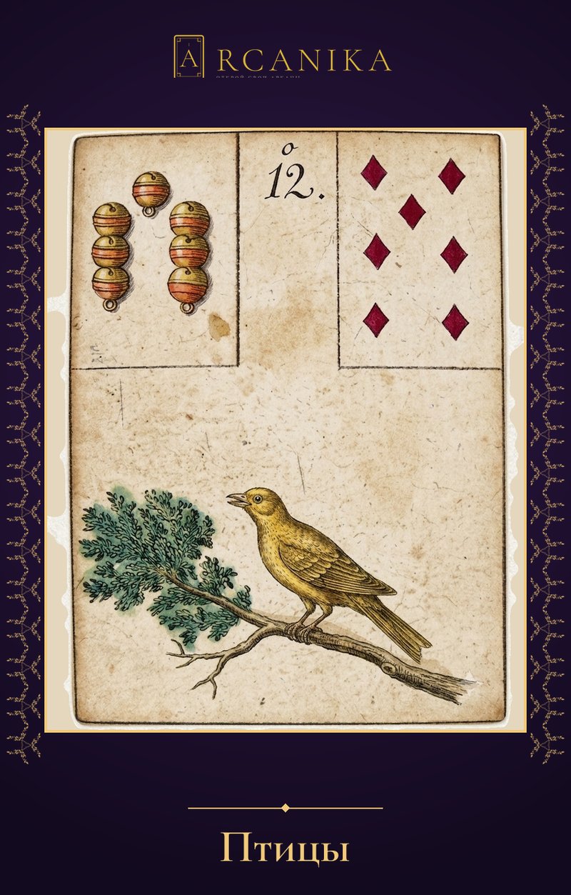 Birds