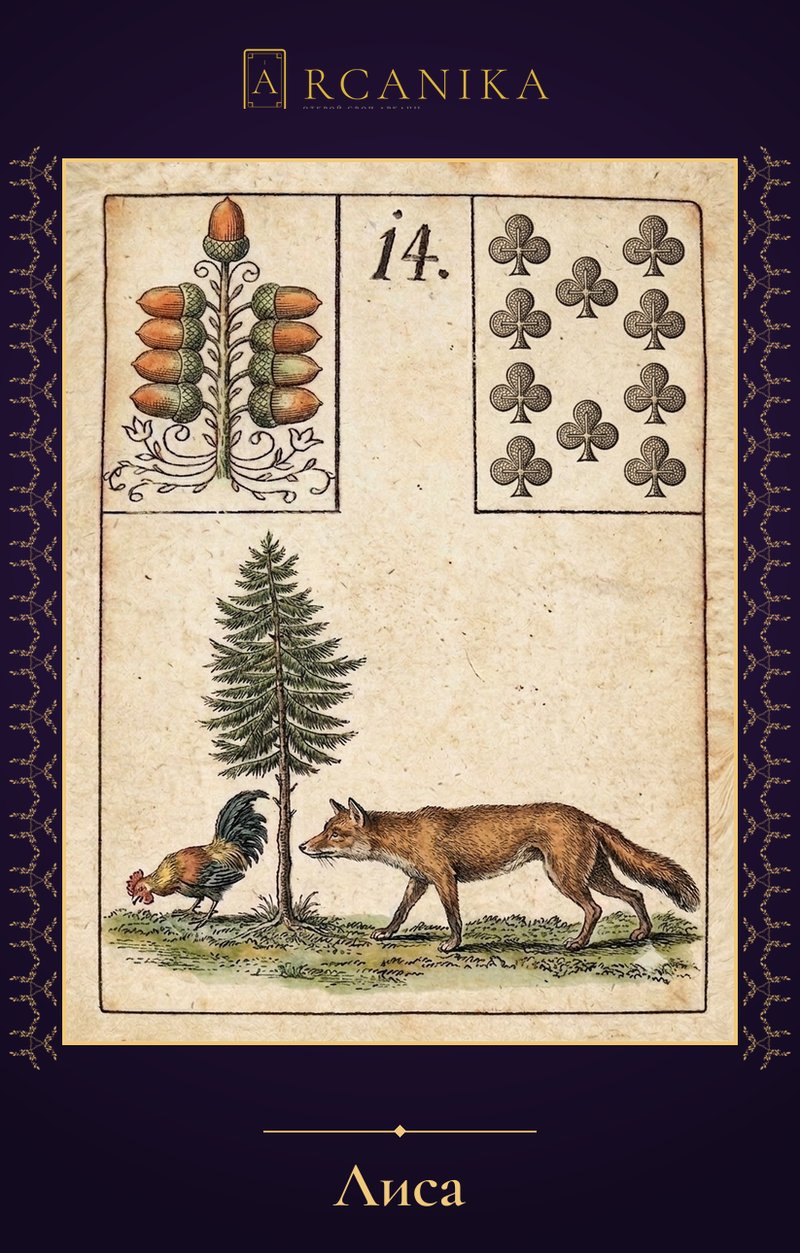 Fox